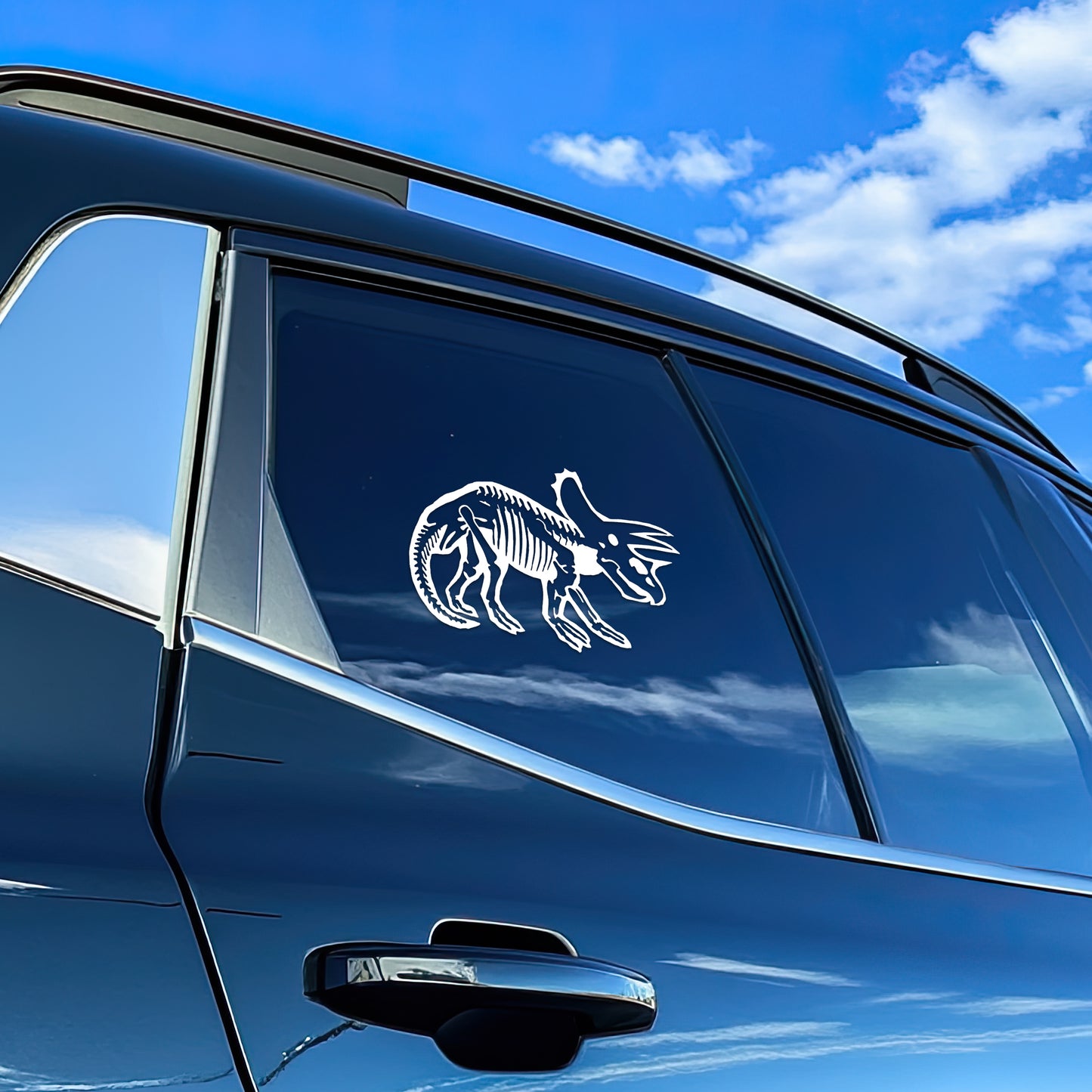 Triceratops Vinyl Decal